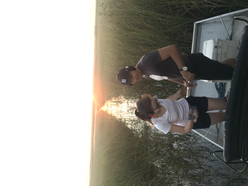 airboat tour miami beach